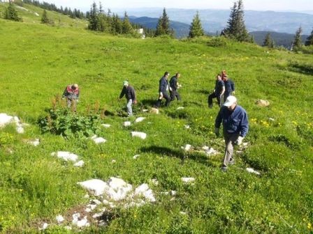 uredjenje_skijaskih_staza_jul_2014-01